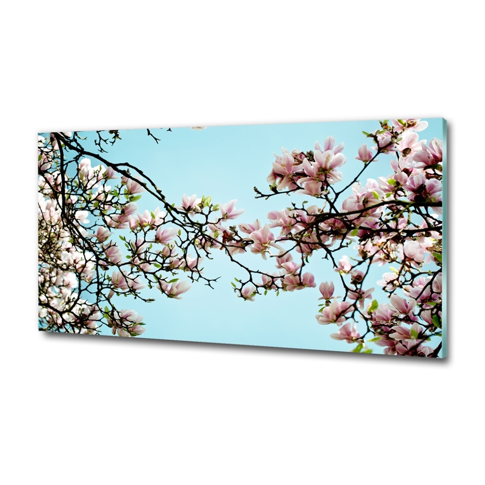 Glass picture wall art Magnolia flowers