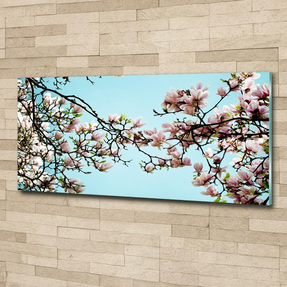 Glass picture wall art Magnolia flowers