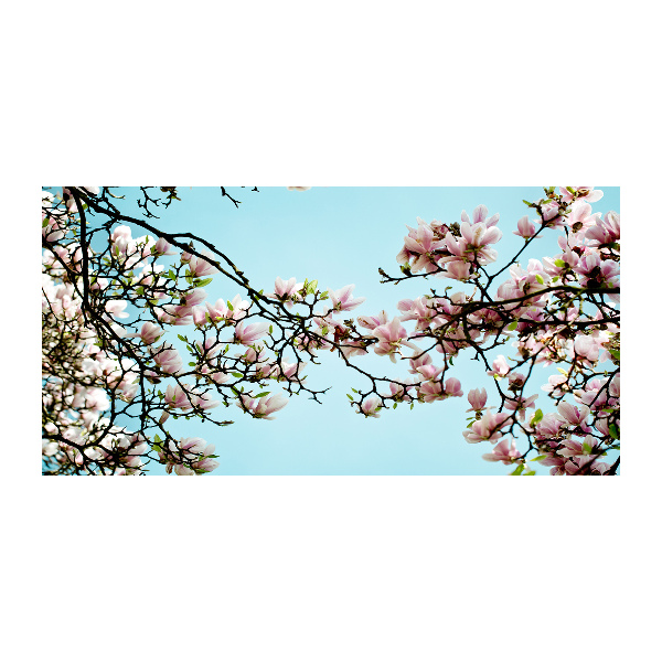 Glass picture wall art Magnolia flowers