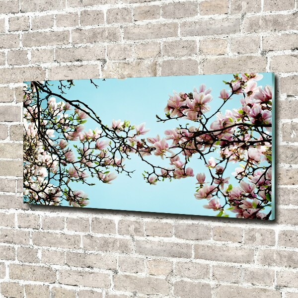 Glass picture wall art Magnolia flowers