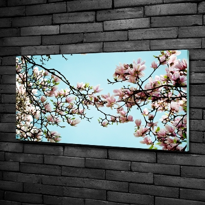 Glass picture wall art Magnolia flowers