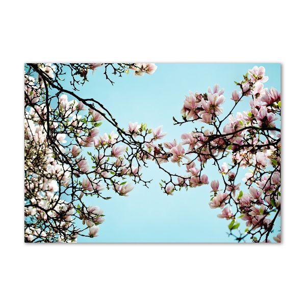 Glass picture wall art Magnolia flowers