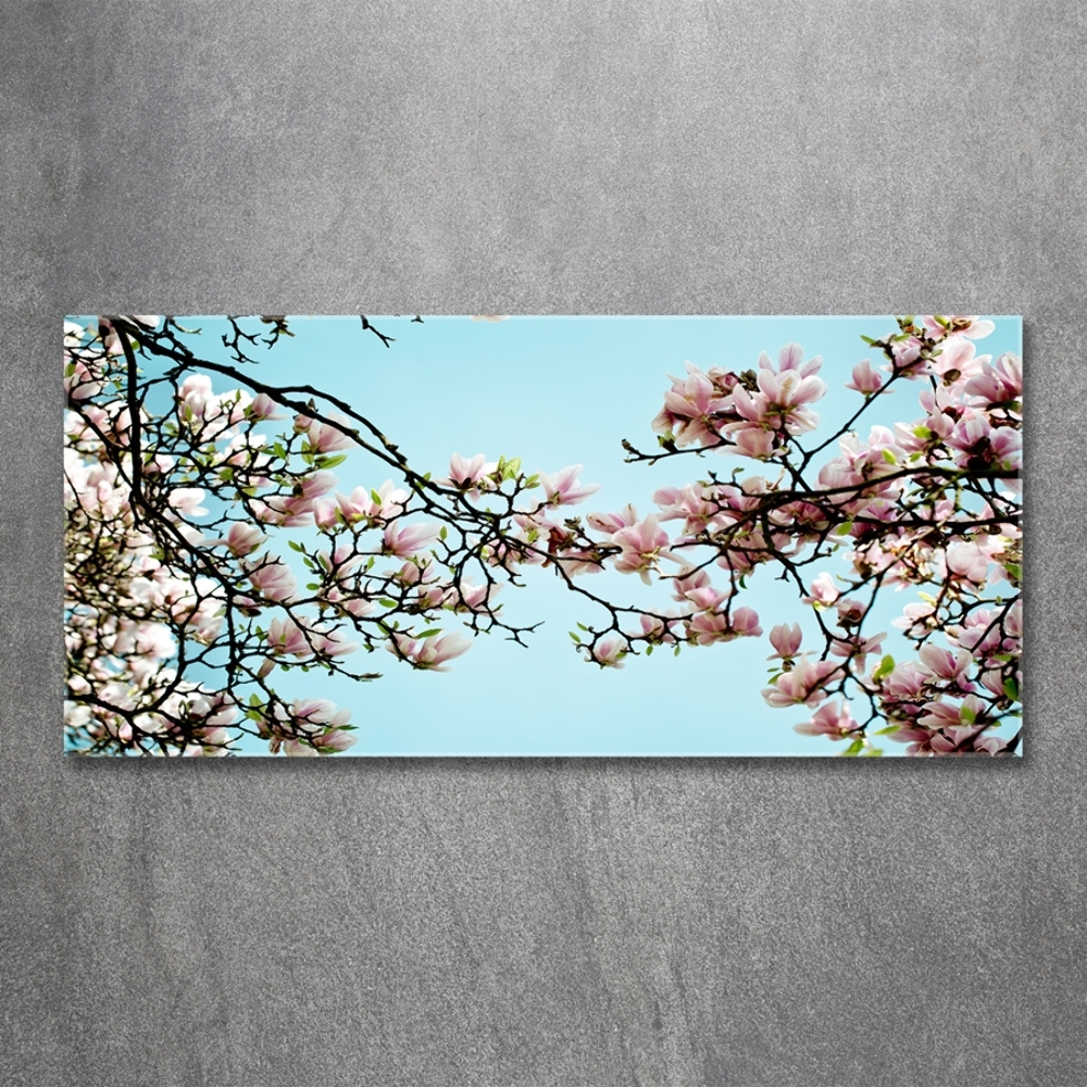 Glass picture wall art Magnolia flowers