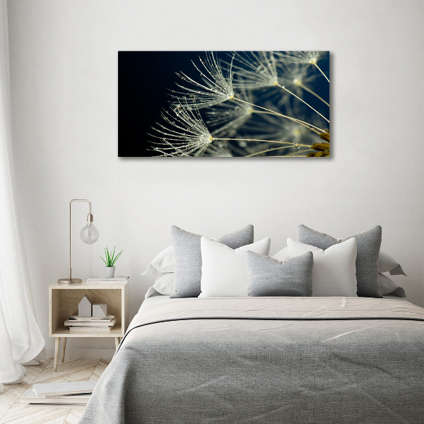 Glass picture wall art Dandelion seeds