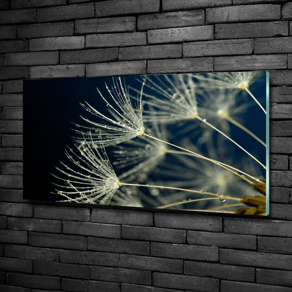 Glass picture wall art Dandelion seeds