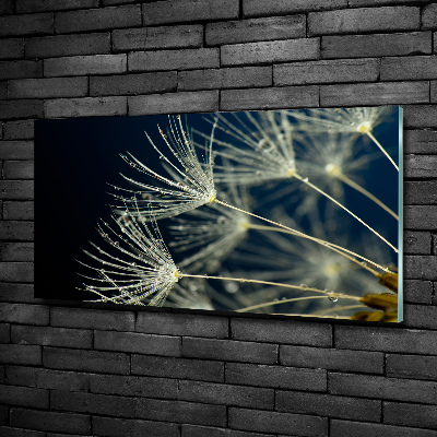 Glass picture wall art Dandelion seeds