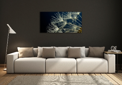 Glass picture wall art Dandelion seeds