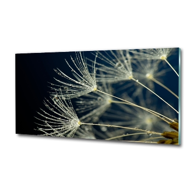 Glass picture wall art Dandelion seeds