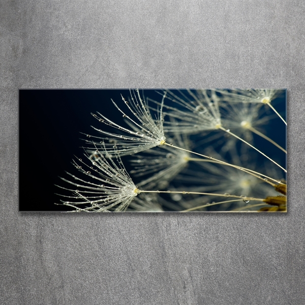 Glass picture wall art Dandelion seeds