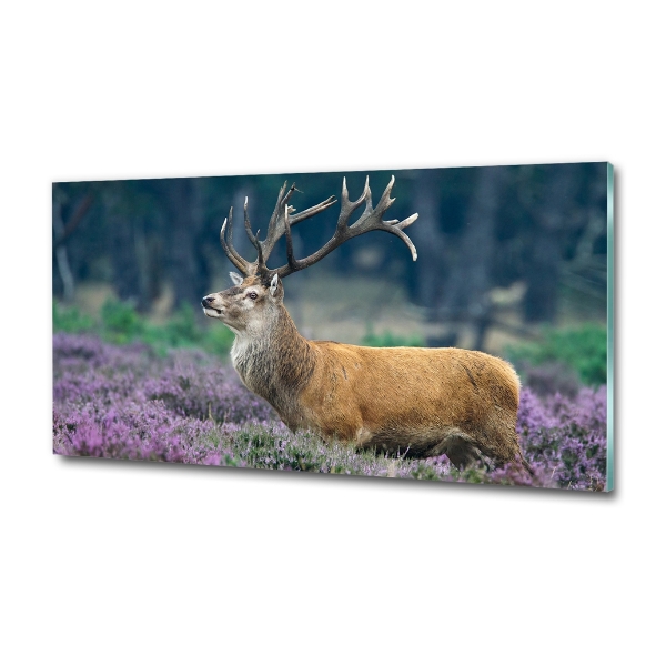 Photo printed on glass Deer among lavender