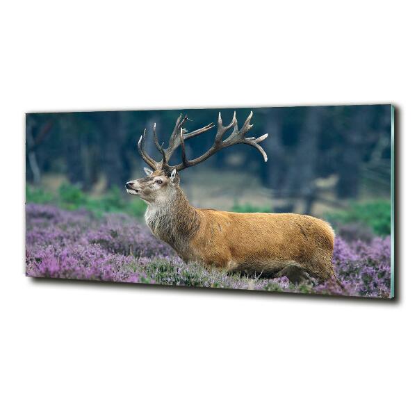 Photo printed on glass Deer among lavender