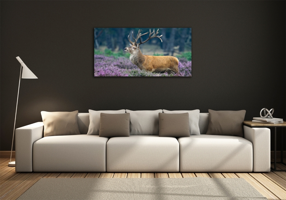 Photo printed on glass Deer among lavender