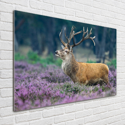 Photo printed on glass Deer among lavender