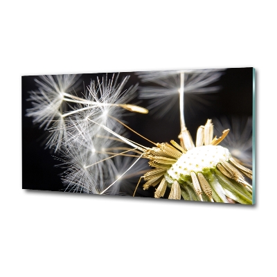 Glass picture wall art Dandelion seeds