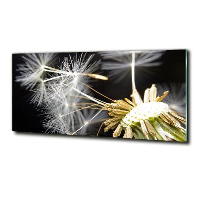 Glass picture wall art Dandelion seeds