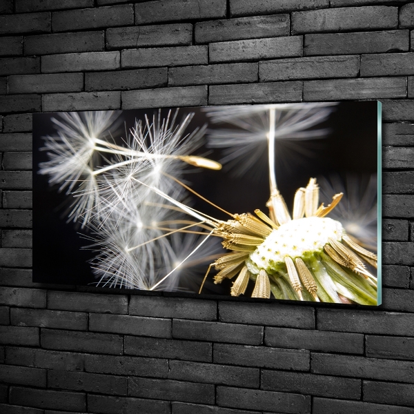 Glass picture wall art Dandelion seeds