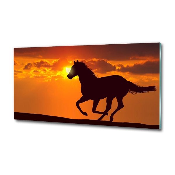 Photo printed on glass Sunset horse