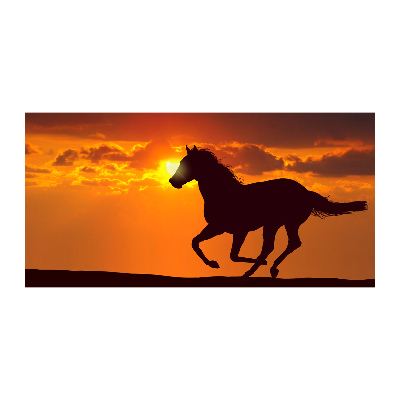 Photo printed on glass Sunset horse