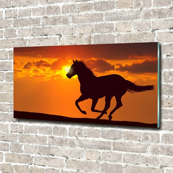 Photo printed on glass Sunset horse