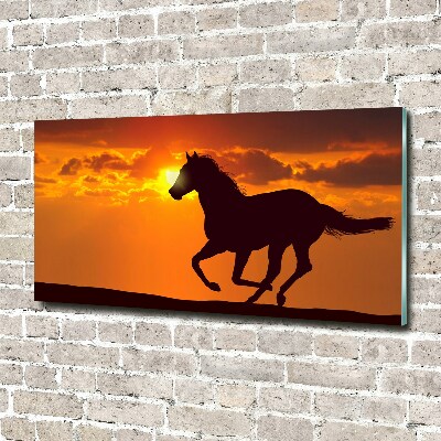 Photo printed on glass Sunset horse