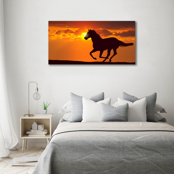 Photo printed on glass Sunset horse