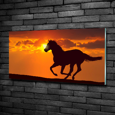 Photo printed on glass Sunset horse