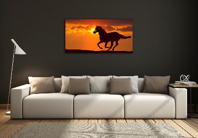 Photo printed on glass Sunset horse