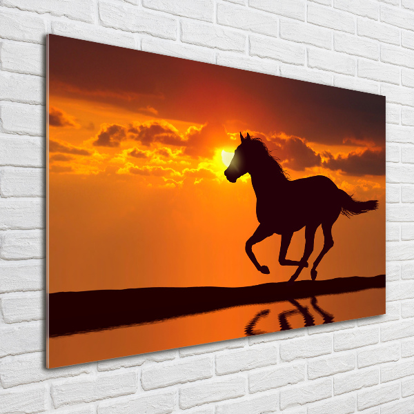 Photo printed on glass Sunset horse