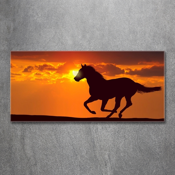 Photo printed on glass Sunset horse