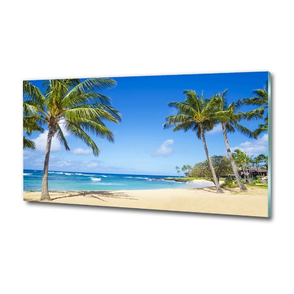 Glass wall art large Tropical beach