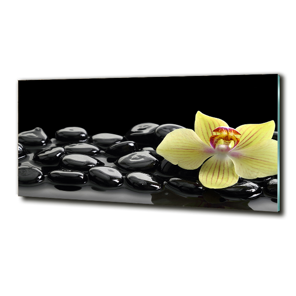 Printed glass wall art Orchid