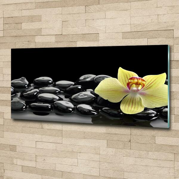 Printed glass wall art Orchid