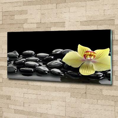 Printed glass wall art Orchid