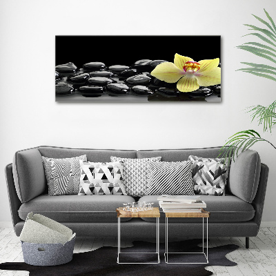 Printed glass wall art Orchid