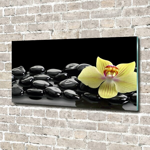 Printed glass wall art Orchid