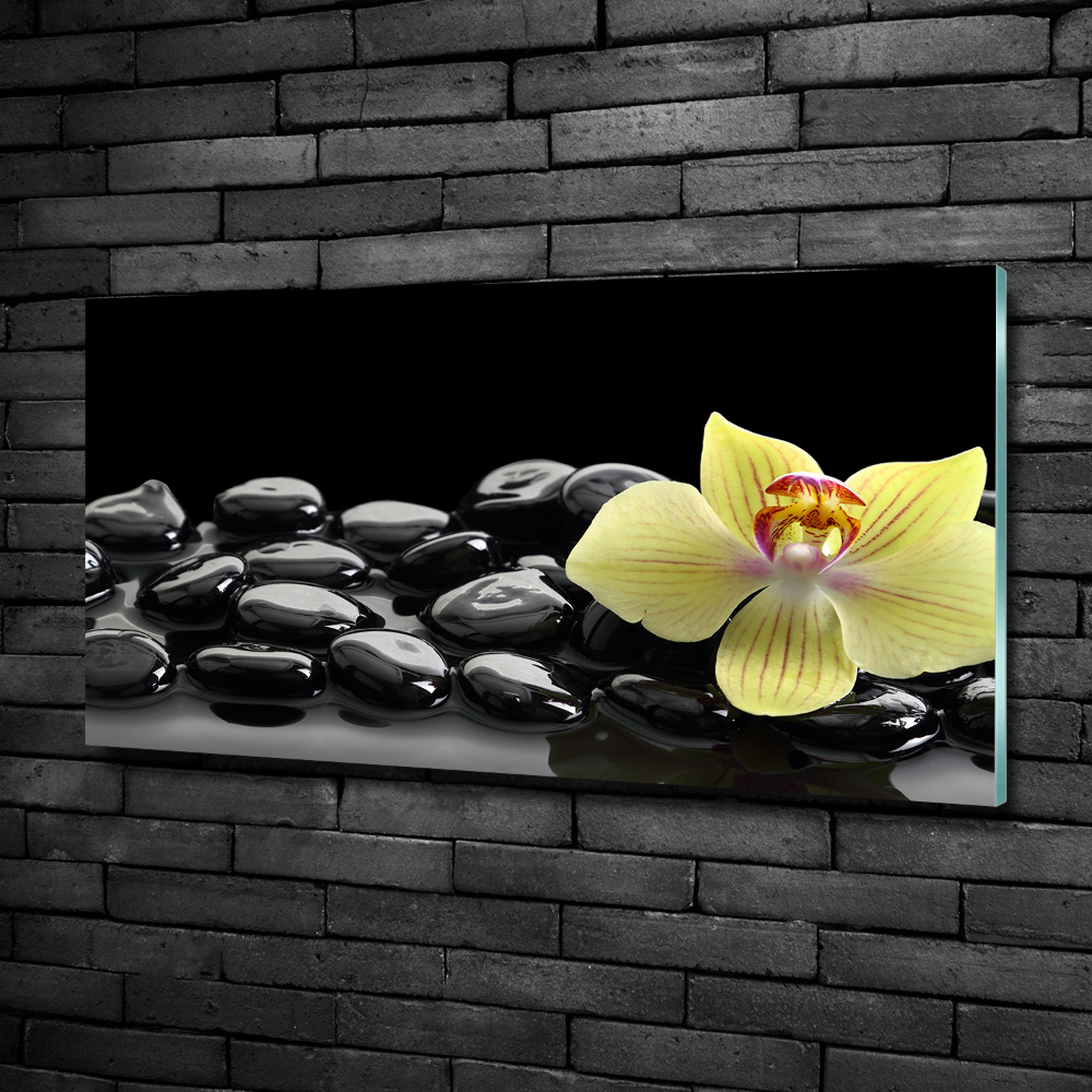 Printed glass wall art Orchid