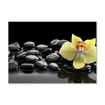 Printed glass wall art Orchid