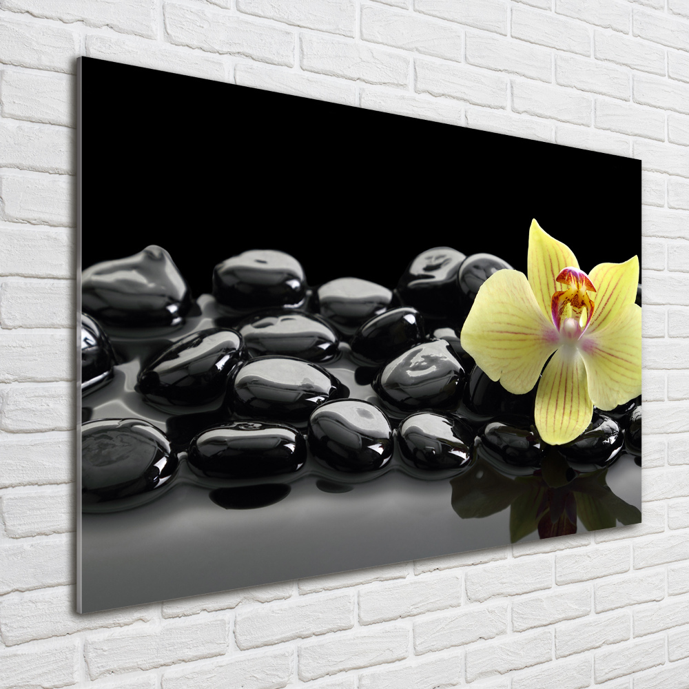 Printed glass wall art Orchid