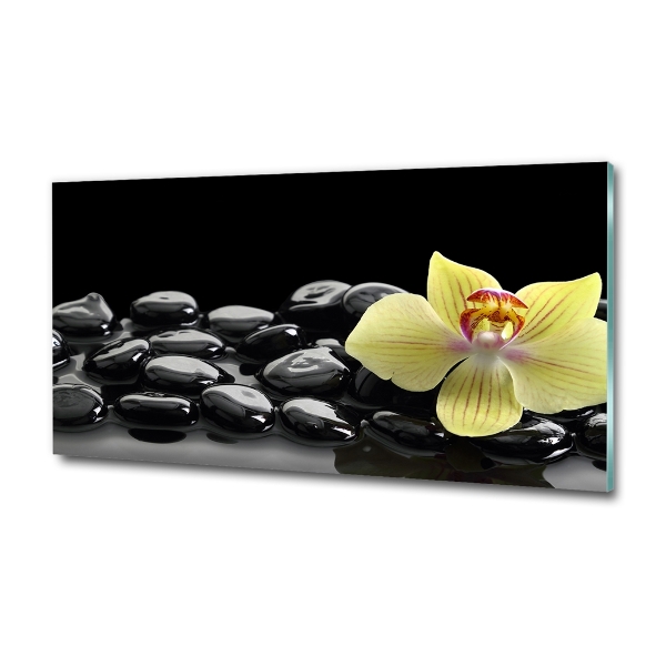 Printed glass wall art Orchid