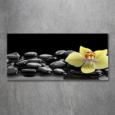 Printed glass wall art Orchid