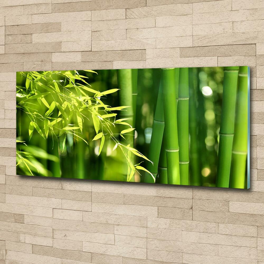 Printed glass wall art Bamboo