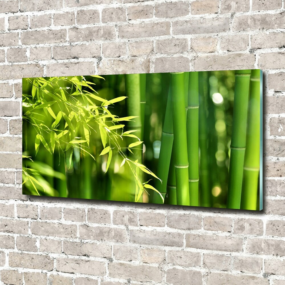 Printed glass wall art Bamboo