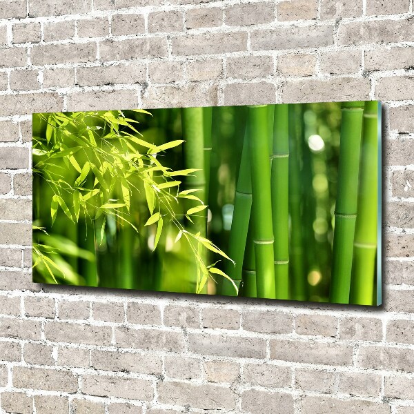 Printed glass wall art Bamboo