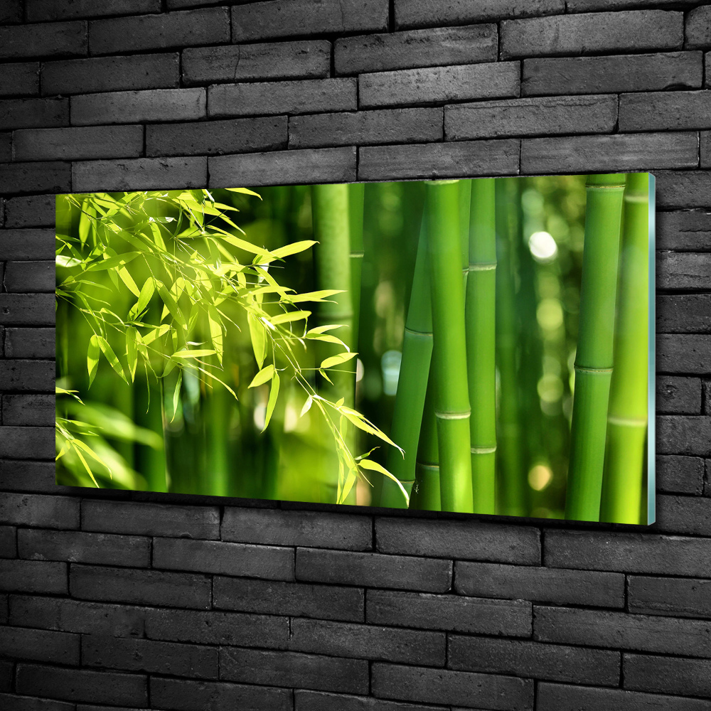 Printed glass wall art Bamboo