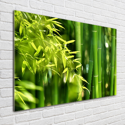 Printed glass wall art Bamboo