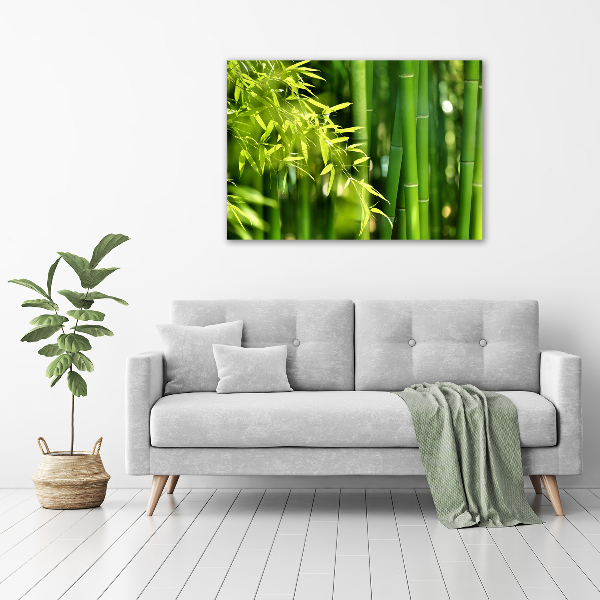 Printed glass wall art Bamboo