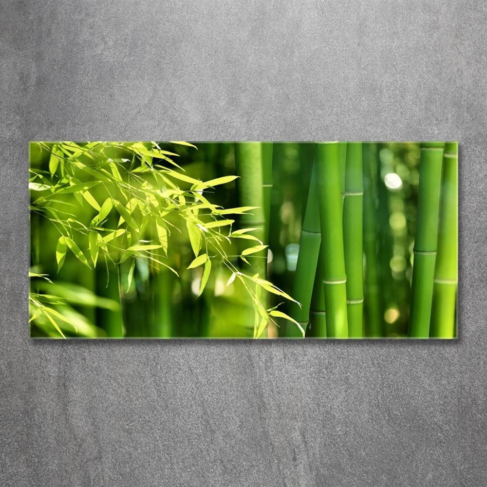 Printed glass wall art Bamboo