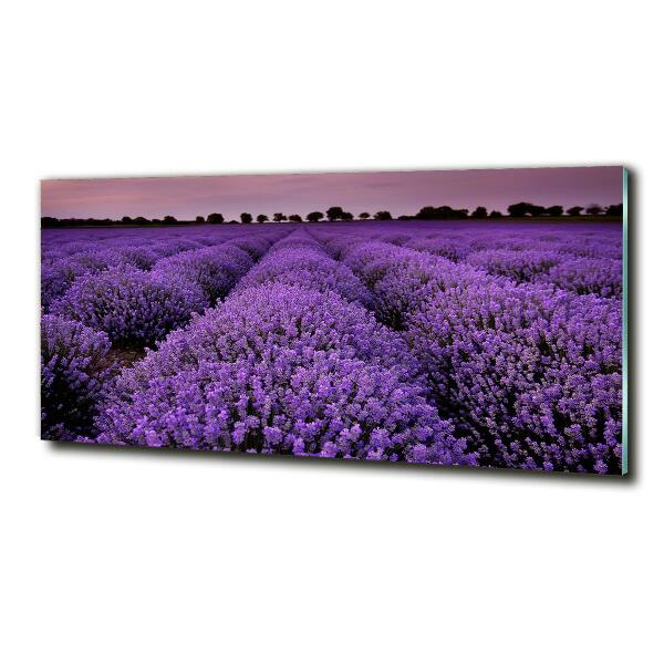 Printed glass wall art Lavender field