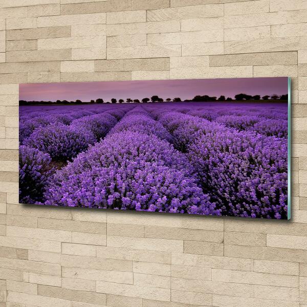 Printed glass wall art Lavender field