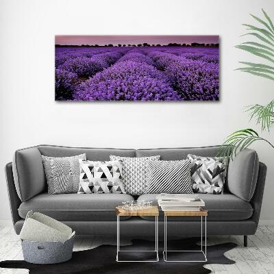 Printed glass wall art Lavender field